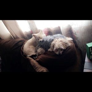 Meet your Posher, Kelli